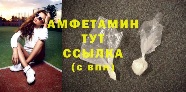 шишки Инсар