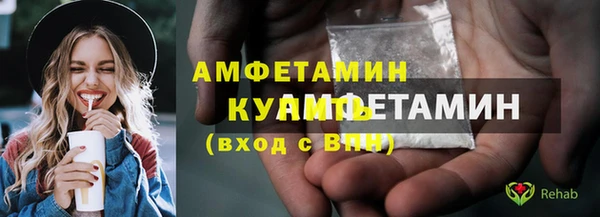 стафф Иннополис