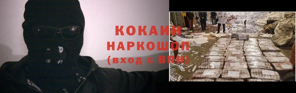 шишки Инсар