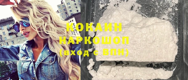 шишки Инсар