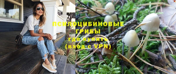 шишки Инсар