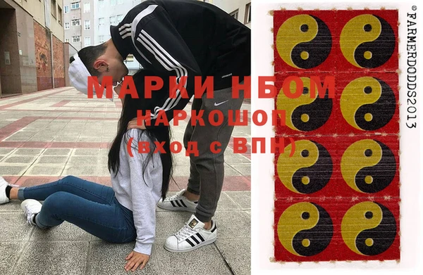шишки Инсар