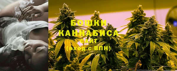 стафф Иннополис