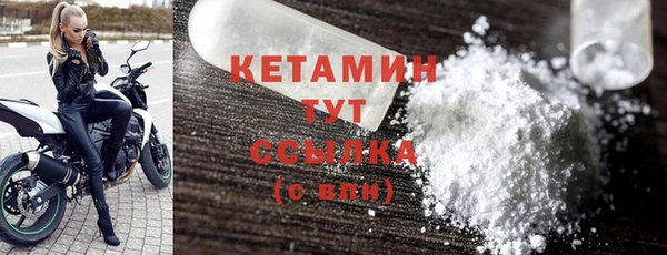 шишки Инсар