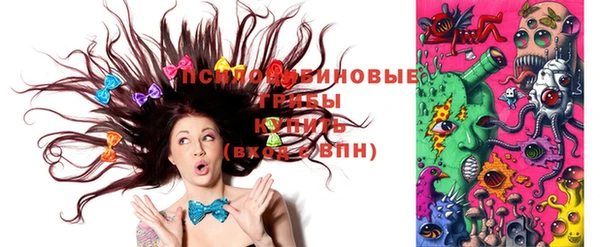 шишки Инсар