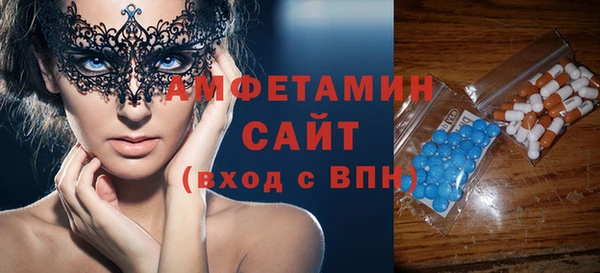 шишки Инсар