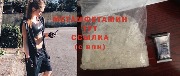 шишки Инсар
