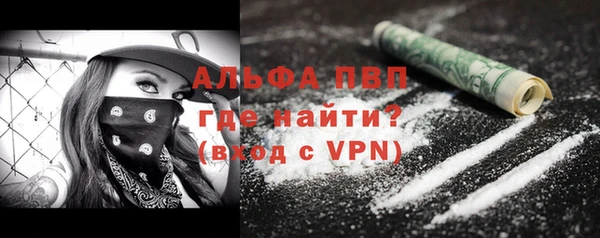 стафф Иннополис