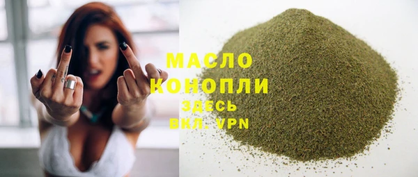 шишки Инсар