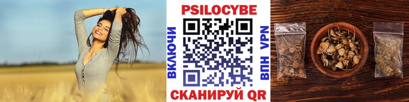 Купить где  Шатура  Галлюциногенные грибы прущие грибы 